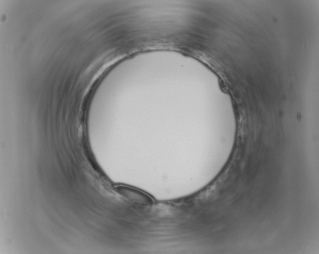 X0000077400290200611172111