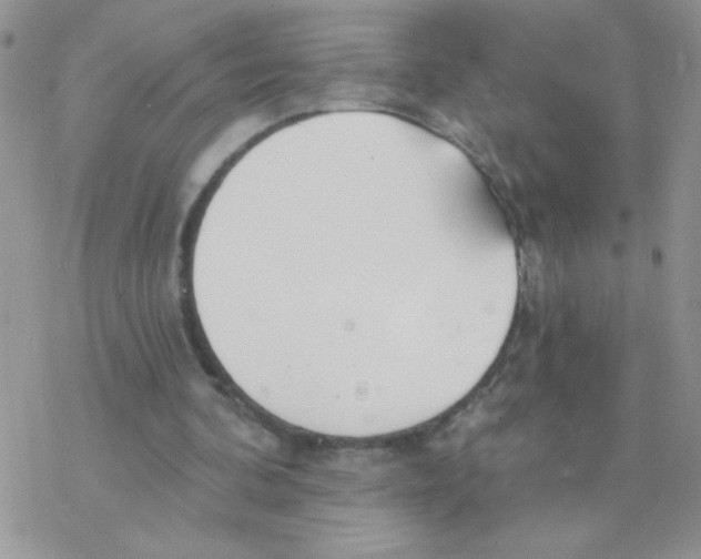 X0000077400292200611172111