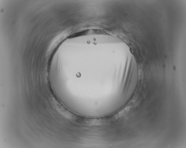 X0000077400293200611172111