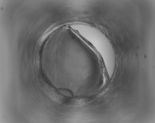 X0000077400295200611172111