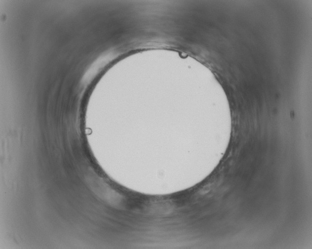 X0000077400296200611172111