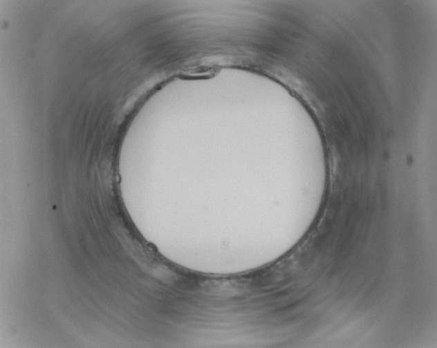 X0000077400297200611172111