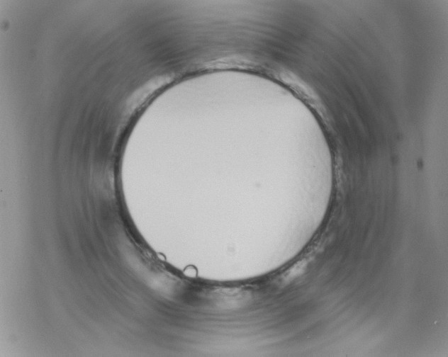 X0000077400298200611172111