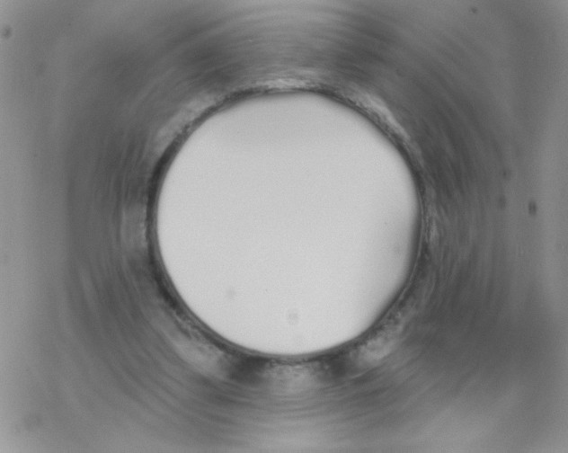 X0000077400299200611172111