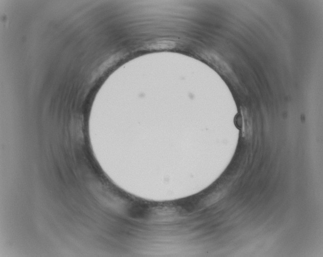 X0000077400300200611172111