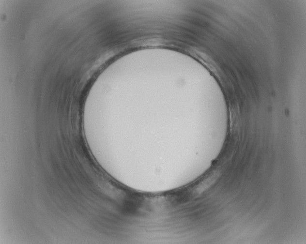 X0000077400301200611172111