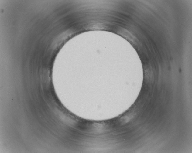 X0000077400302200611172111