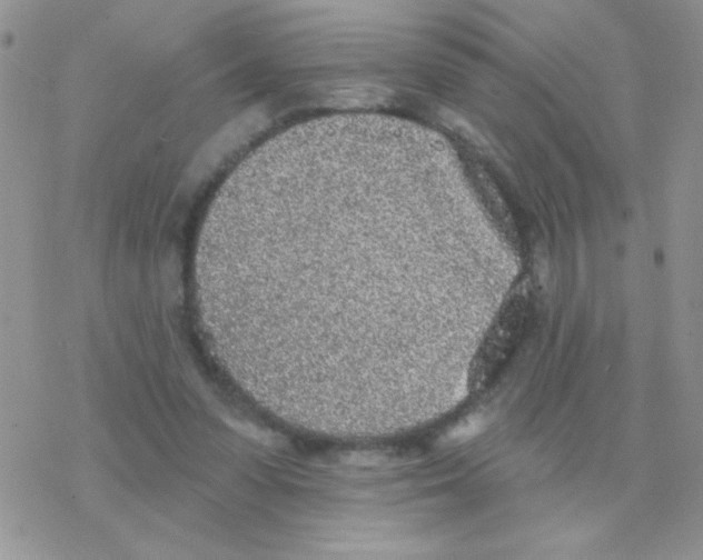 X0000077400303200611172111