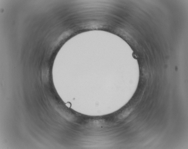 X0000077400304200611172111