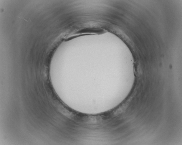 X0000077400305200611172111