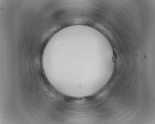 X0000077400306200611172111