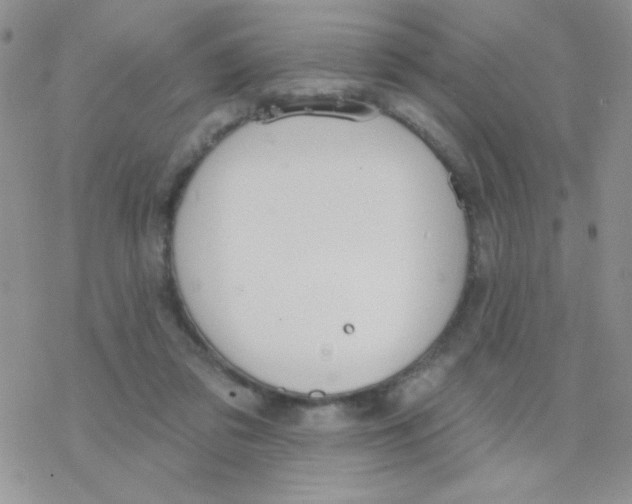 X0000077400309200611172111