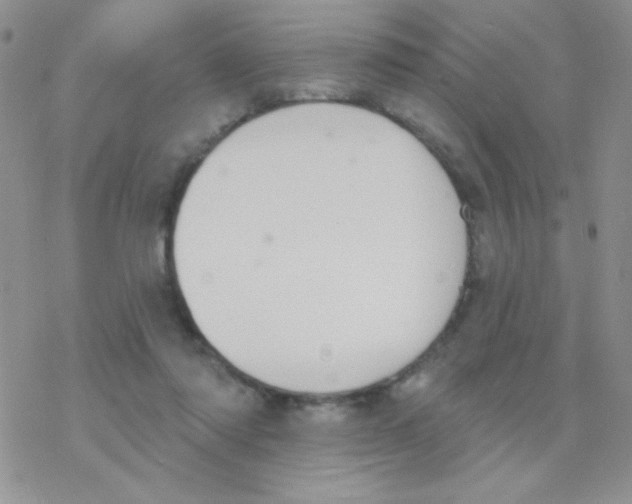 X0000077400310200611172111