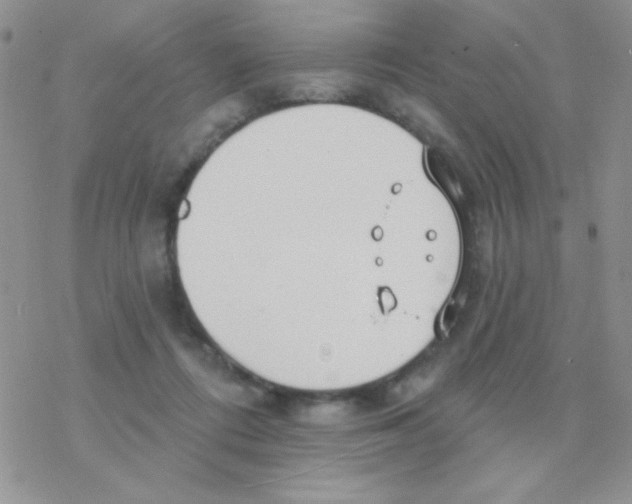 X0000077400312200611172110