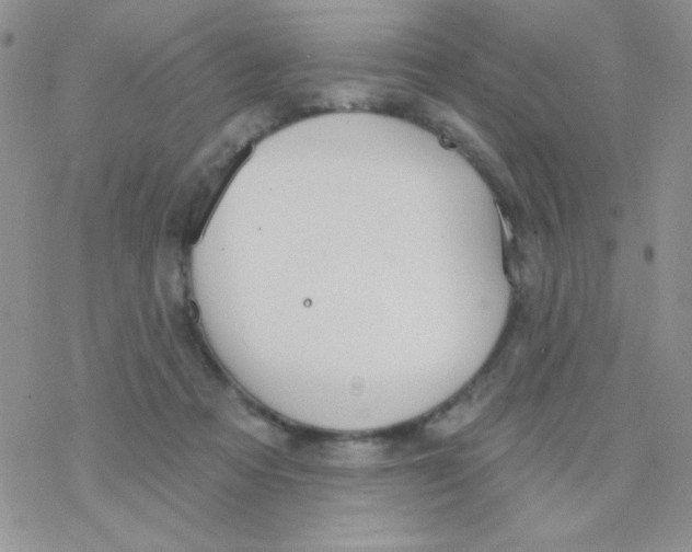 X0000077400313200611172110