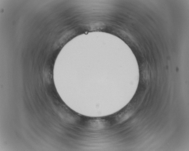 X0000077400316200611172110