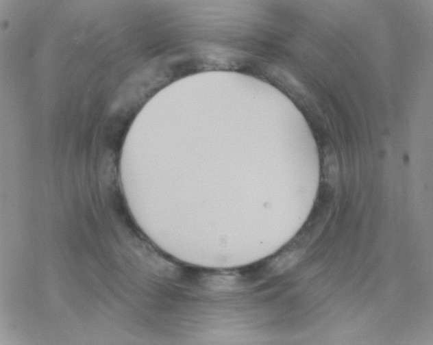 X0000077400318200611172110