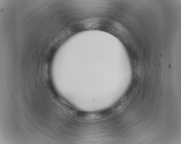 X0000077400319200611172110