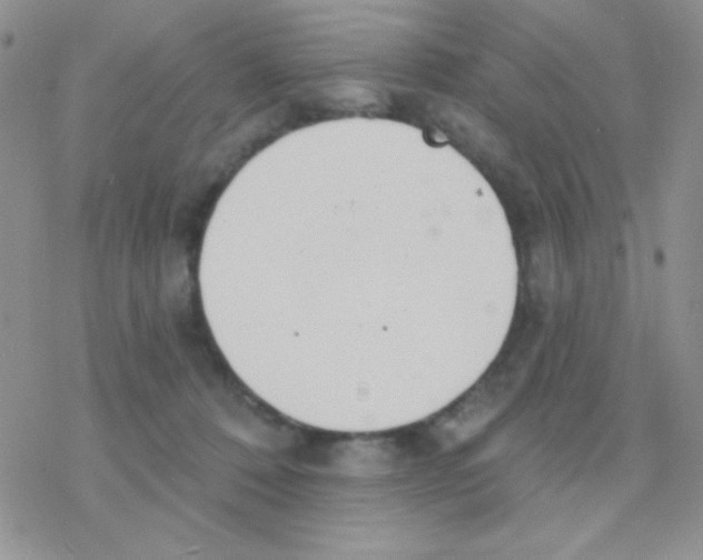 X0000077400320200611172110