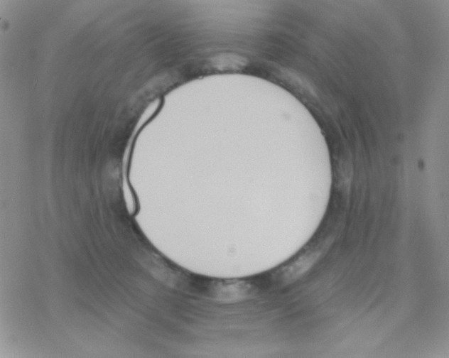 X0000077400321200611172110