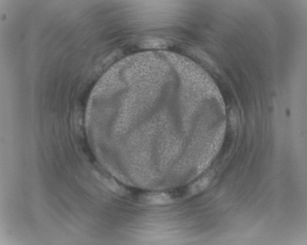 X0000077400322200611172110