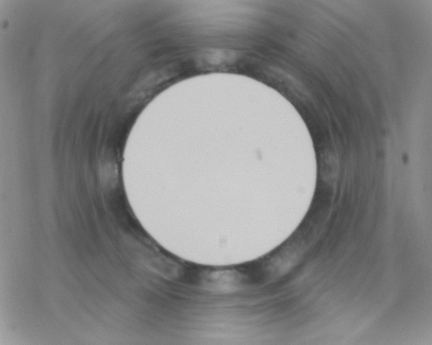 X0000077400324200611172110