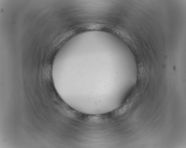 X0000077400325200611172110