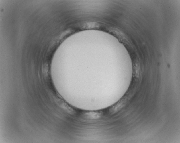 X0000077400326200611172110