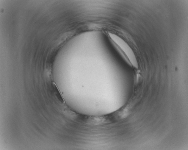 X0000077400329200611172110