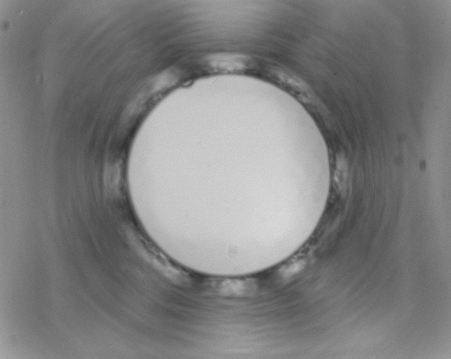 X0000077400330200611172110