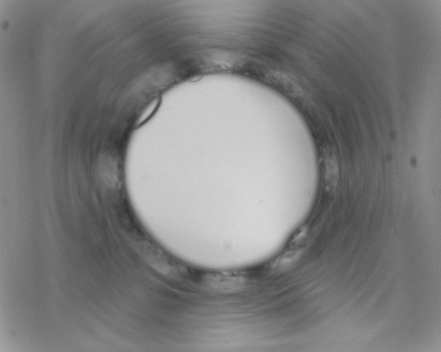 X0000077400331200611172110