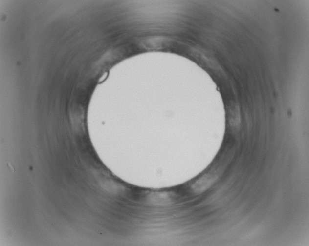 X0000077400332200611172110