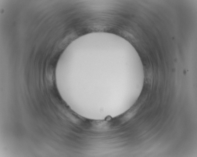 X0000077400334200611172110