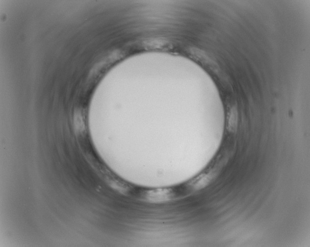 X0000077400335200611172110