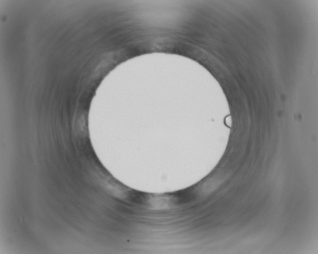 X0000077400336200611172110