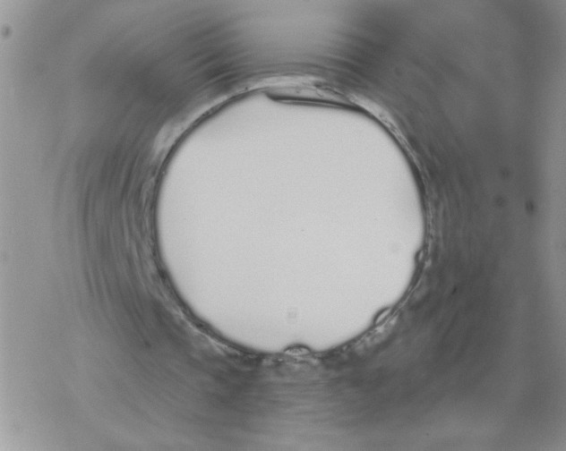 X0000077400337200611172109