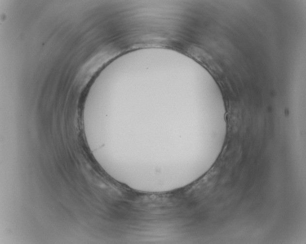 X0000077400338200611172109