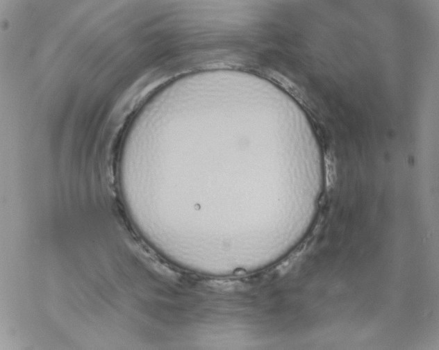 X0000077400339200611172109