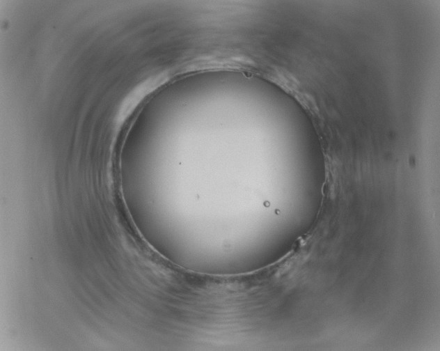 X0000077400340200611172109