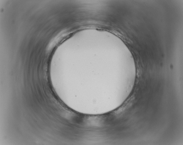 X0000077400341200611172109