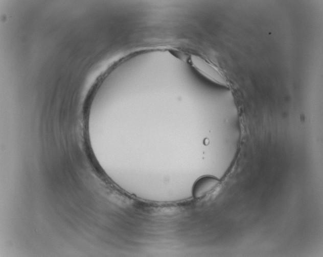 X0000077400342200611172109