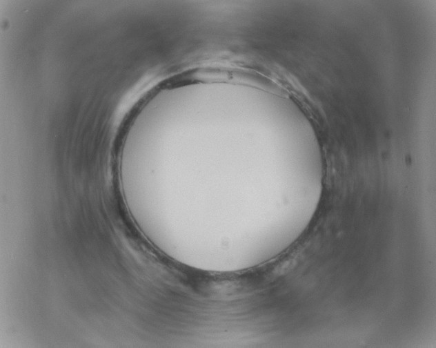 X0000077400344200611172109