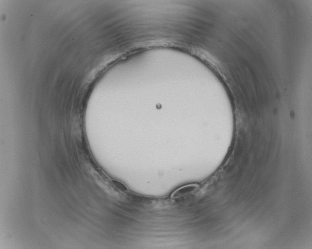 X0000077400345200611172109