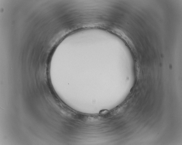 X0000077400346200611172109