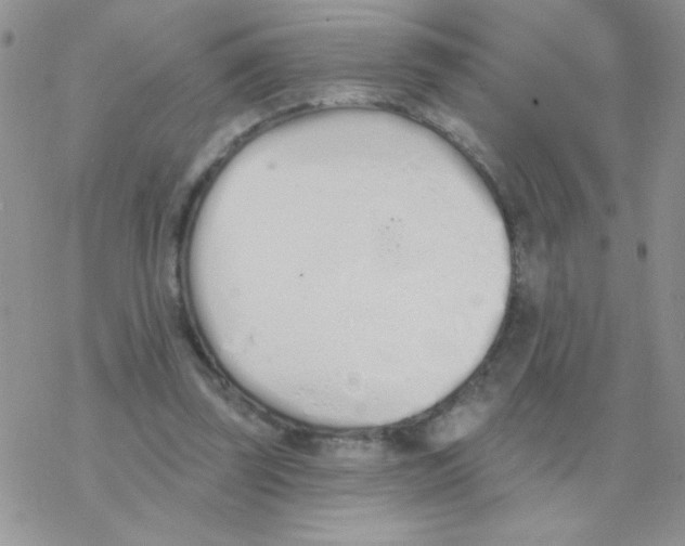 X0000077400347200611172109