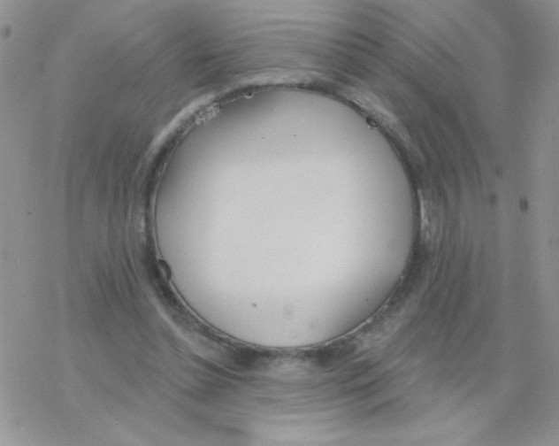 X0000077400348200611172109