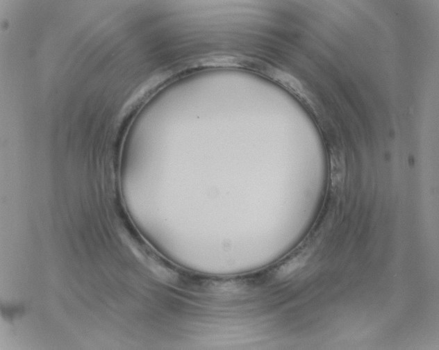 X0000077400349200611172109