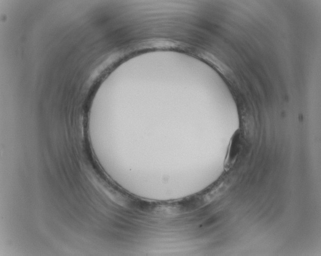 X0000077400350200611172110