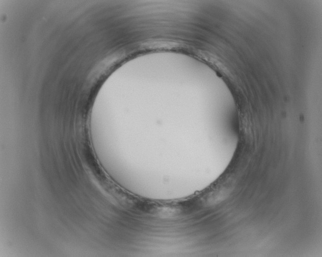 X0000077400352200611172110