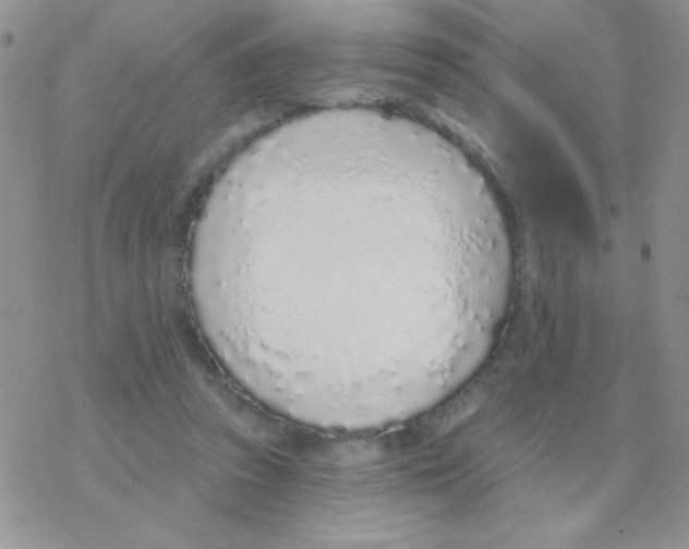 X0000077400353200611172110